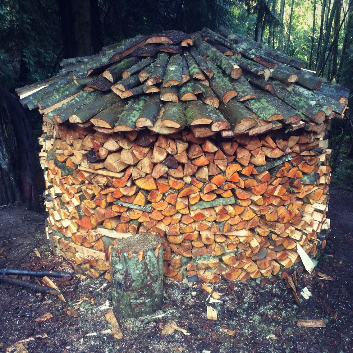 Как хранить дрова на дачном участке - агро журнал "ru поле"