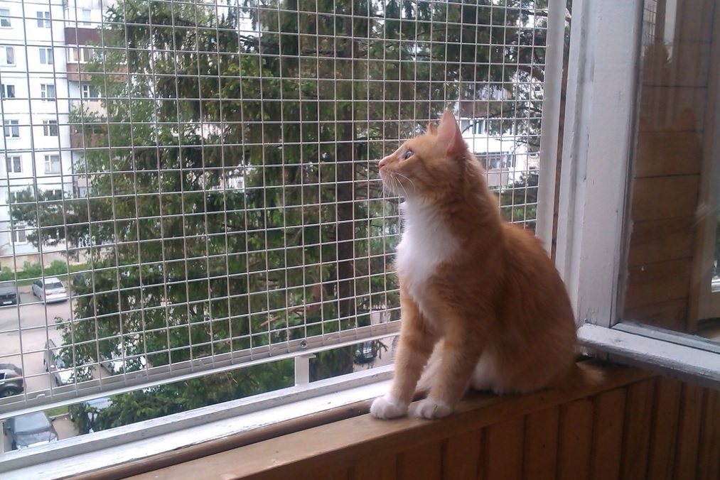 Сетка на окно для кошек антикошка купить