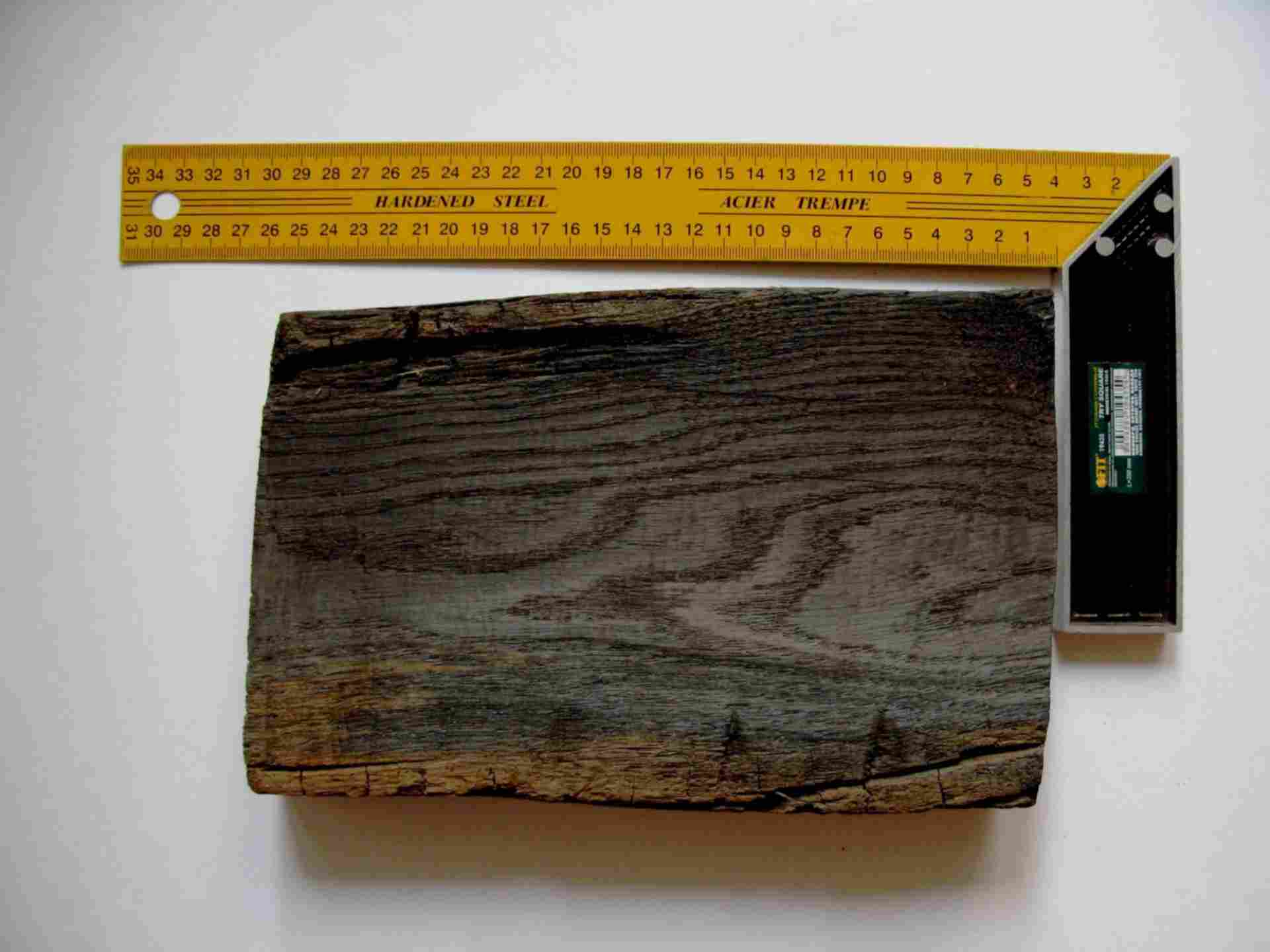 Мореное дерево (23 фото): особенности мореной древесины, сферы применения мореного леса, технология изготовления