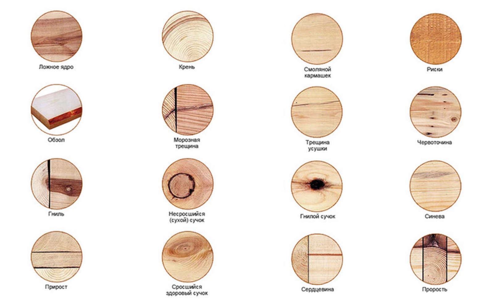 Классификация сортности древесины