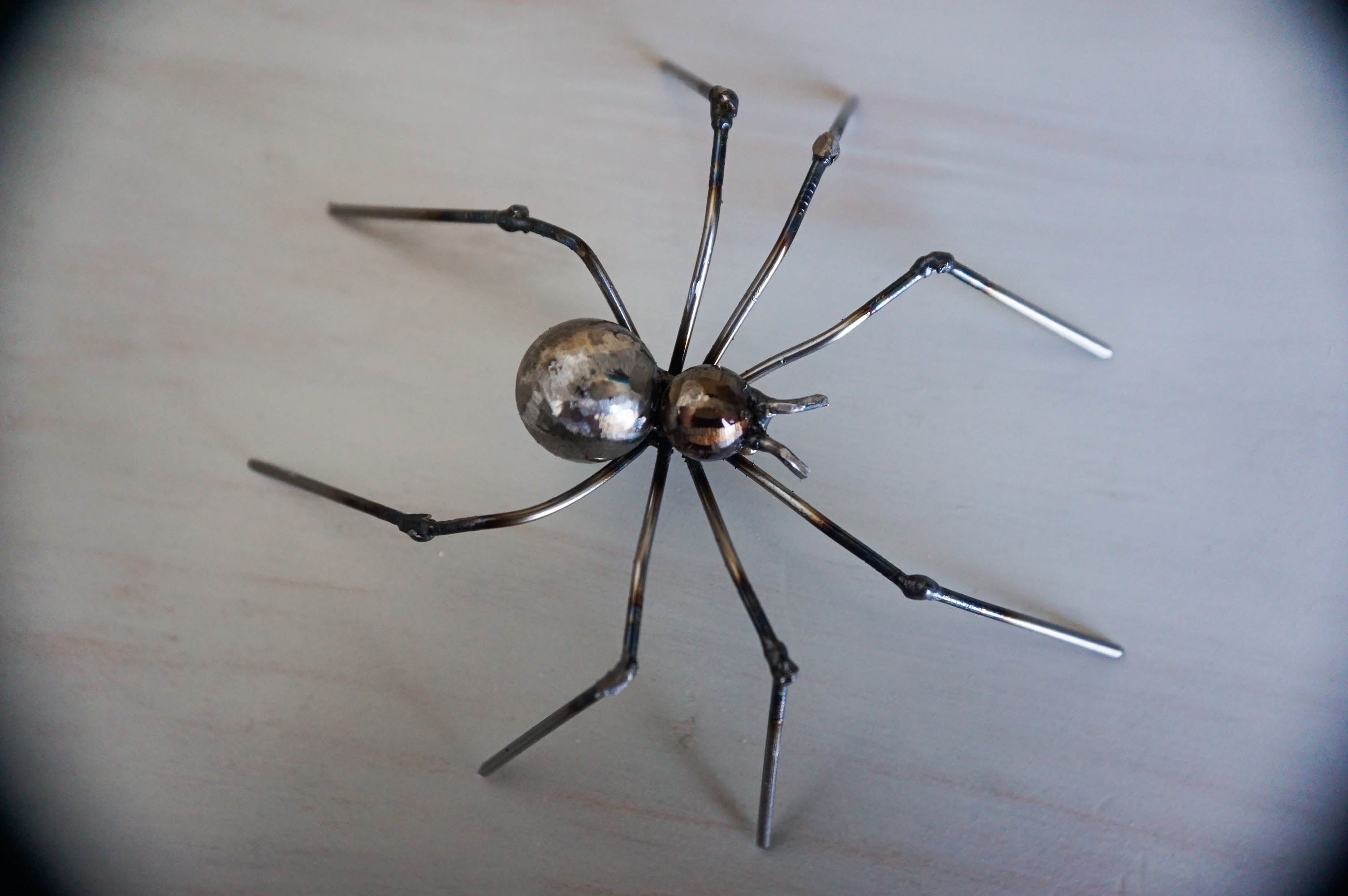 Самодельный паук. Кованый паук. Паук из железа. Паутина из металла с пауком. Поделка паук.