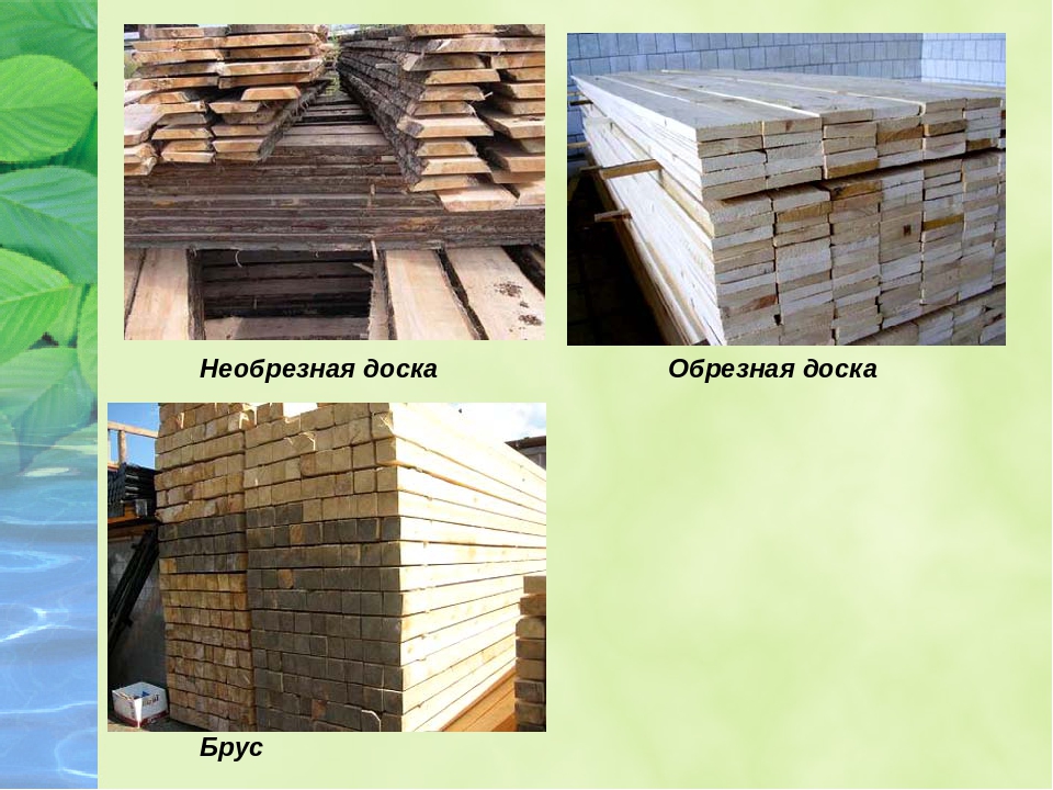 Сферы использования и применения древесины ольхи: двери, вагонка, мебель, лдсп и другие изделия