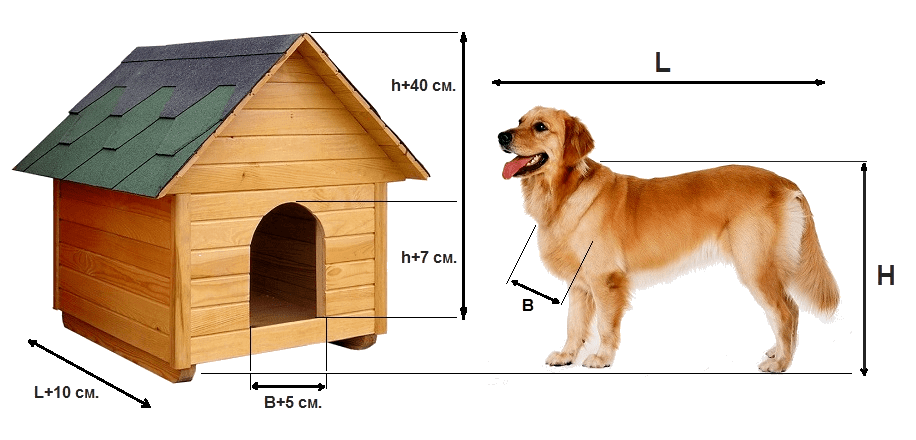 Собачья будка своими руками - 115 фото и видео изготовления домика для собаки