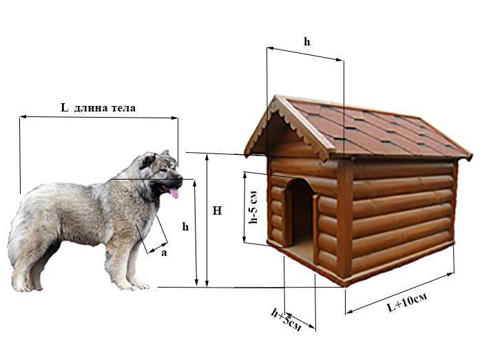 Собачья будка своими руками — пошаговое описание постройки и особенности размещения и использования в ландшафтном дизайне (115 фото + видео)