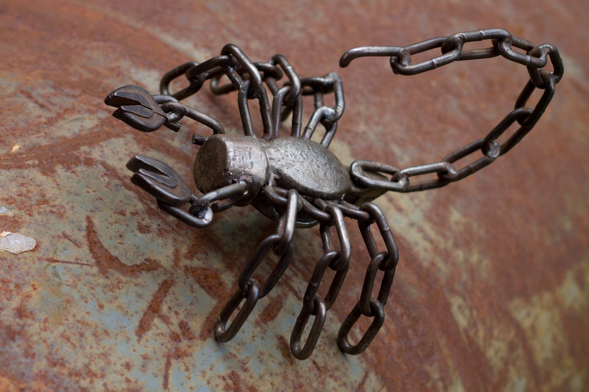 Самодельный паук. Металлический паук. Кованый паук. Прикольные изделия из металла. Скорпион из металла.