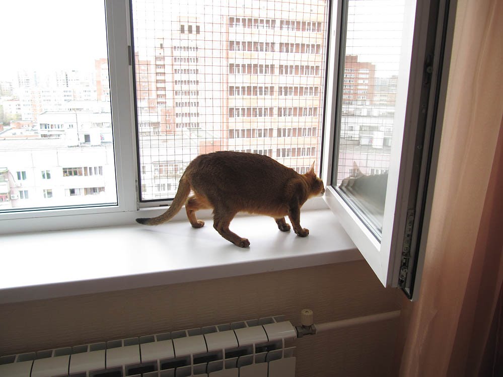 Сетка на окно для кошек антикошка купить. Антикошка на окна. Москитные сетки антикошка. Решетка антикошка. Москитная сетка антикот.